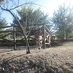 Bed & Breakfast Vaiana