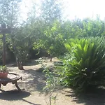 Vaiana 3*