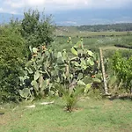 Vaiana 3*