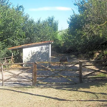 Vaiana 3*