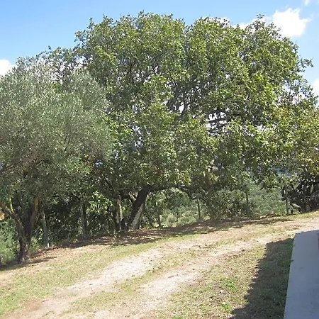 Vaiana 3*