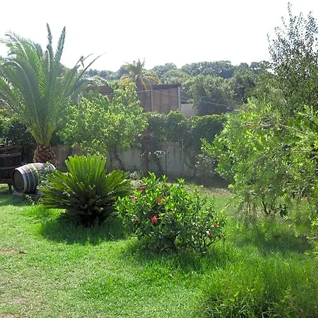 Vaiana 3* Maida