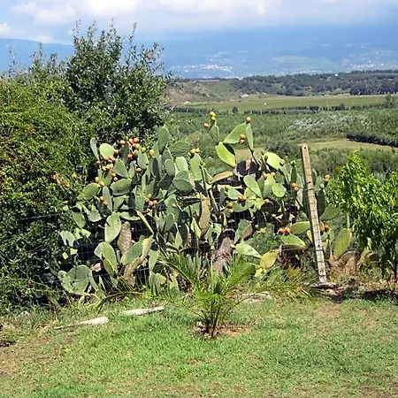 Vaiana Panzió 3*
