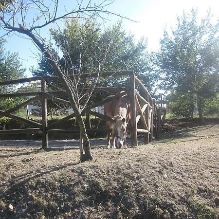 Frühstückspension Vaiana