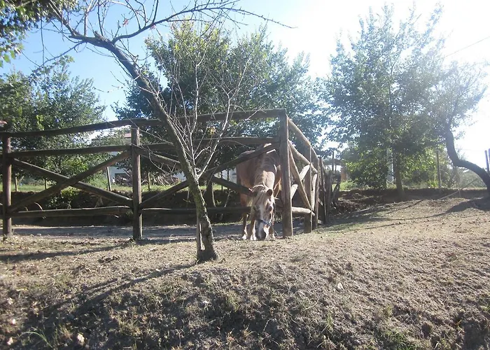 Alojamento de Acomodação e Pequeno-almoço Vaiana